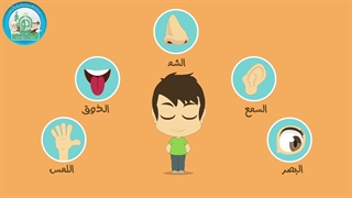 کتاب کار شکوفه های بهشت حس لامسه