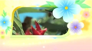 آموزش اسماء الحسنی با معنا – 01 الله