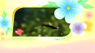 آموزش اسماء الحسنی با معنا – 02 رحمن